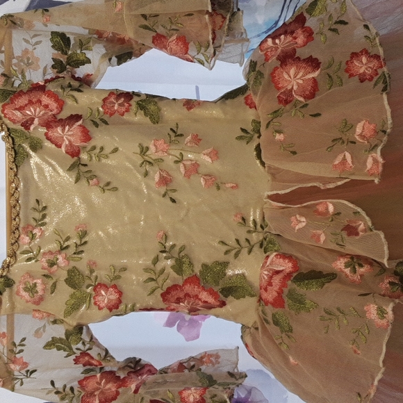 A wish come true floral/tulle dress. Tulle: 3 layers pink, green and sheer. - Picture 3 of 6